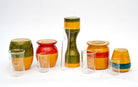 Assorted Colours - Hydroponics Set - 5 vases - vases - indic inspirations