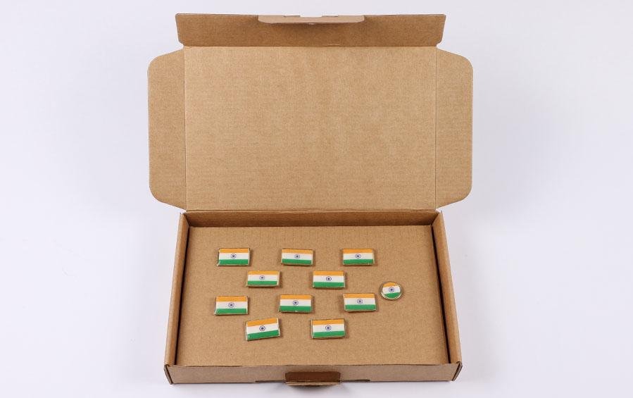 INDIAN FLAG LAPEL PINS RECTANGLE (S) - Set of 11 - Lapel Pins - indic inspirations